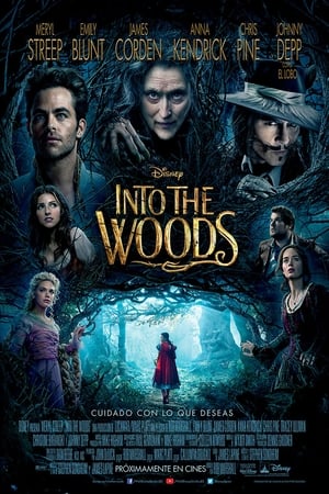 Image Into the Woods