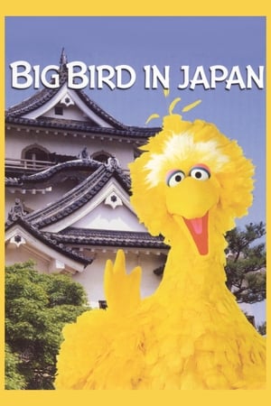 Image Big Bird in Japan