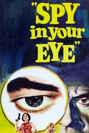 Image Spy in Your Eye