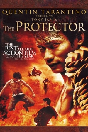 Image The Protector
