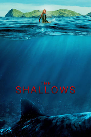 Image The Shallows