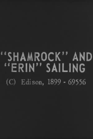 Image "Shamrock" and "Erin" Sailing