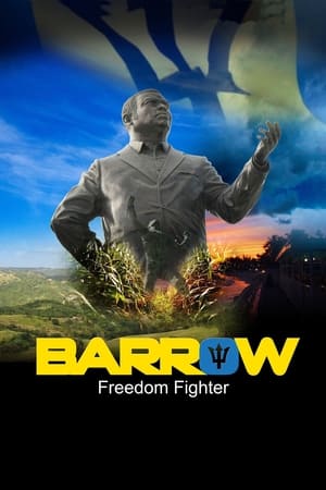 Image Barrow: Freedom Fighter