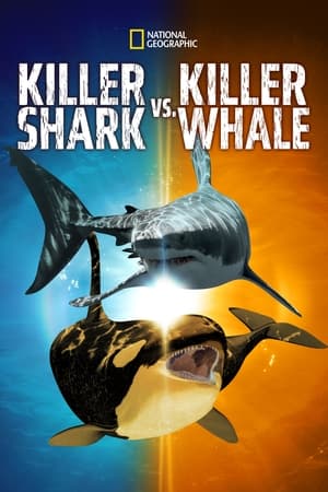 Image Killer Shark Vs. Killer Whale