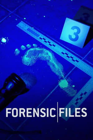 Image Forensic Files