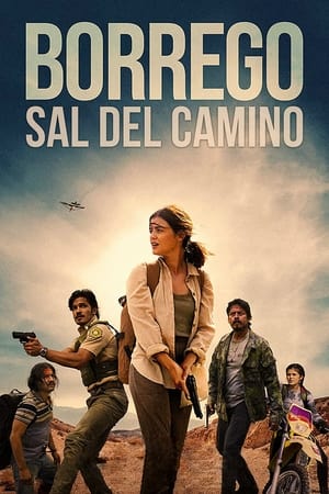 Image Borrego – Sal Del Camino