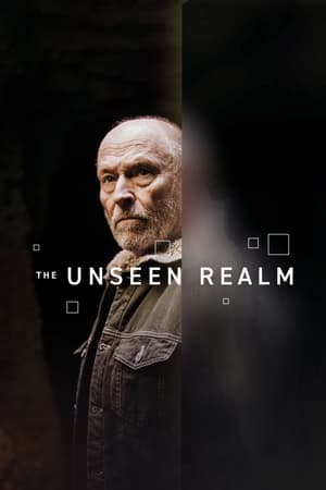 Image The Unseen Realm