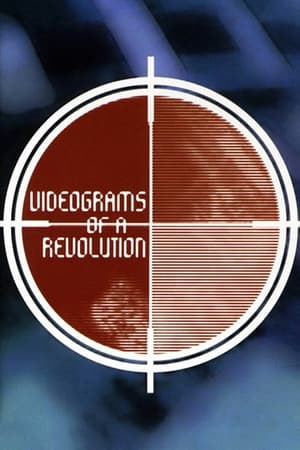 Image Videograms of a Revolution