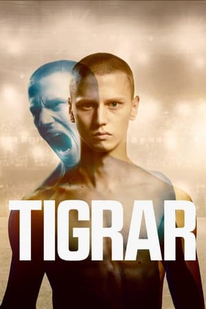 Image Tigrar