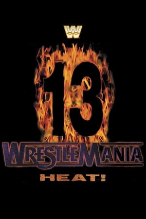 Image WWE WrestleMania 13
