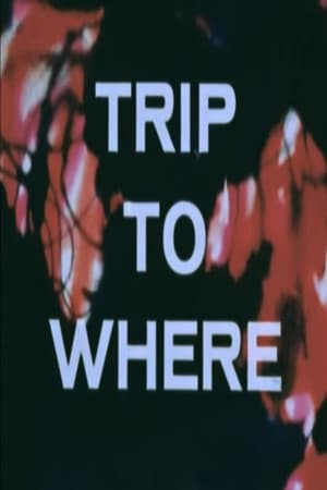 Image LSD: Trip to Where?