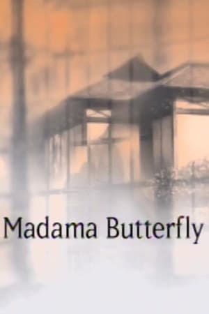 Image Madama Butterfly - The Met