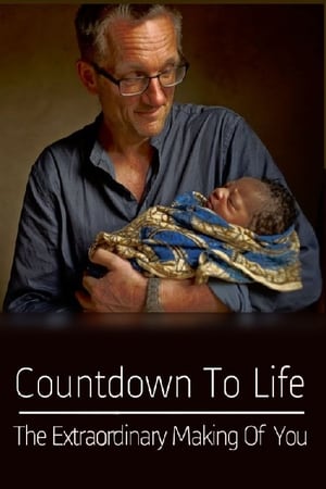 Image Countdown to Life: The Extraordinary Making of You