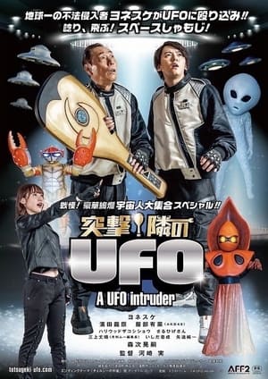 Image A UFO Intruder