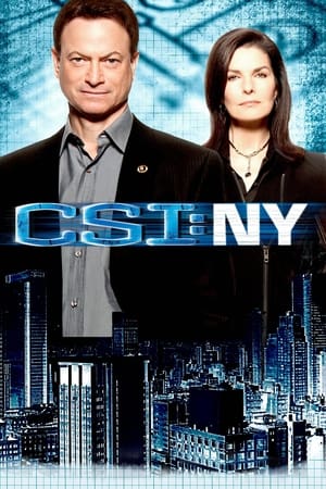 Image CSI: NY