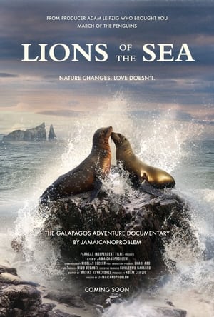 Image Lions of the Sea
