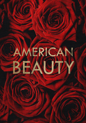 Image American Beauty