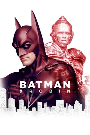 Image Batman & Robin