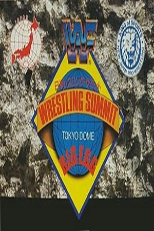 Image WWF/AJPW/NJPW Wrestling Summit