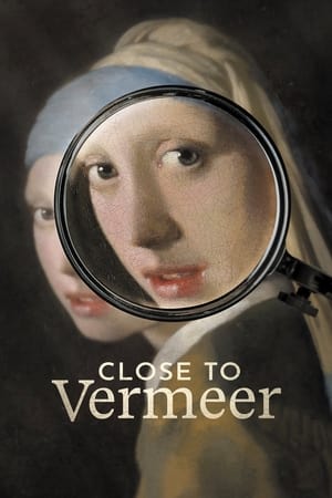 Image Close to Vermeer