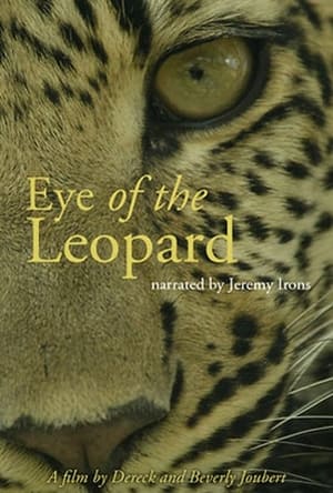 Image Eye of the Leopard: Revealed