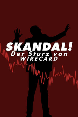 Image Skandal! Der Sturz von Wirecard
