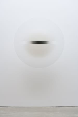 Image Robert Irwin : the beauty of questions
