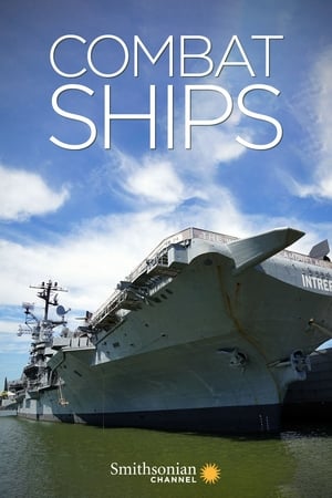 Image Combat Ships