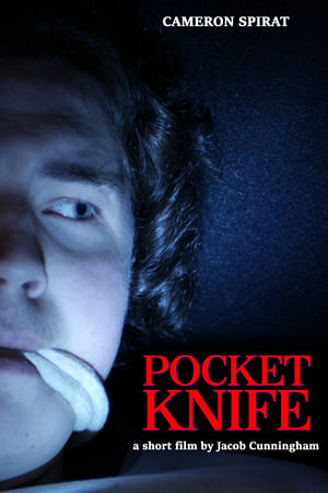 Image Pocket Knife