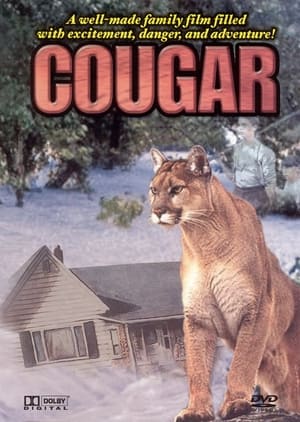 Image Cougar