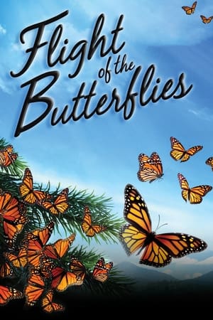 Image Flight of the Butterflies