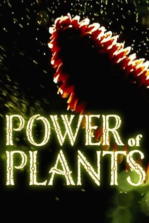 Image Power Of Plants