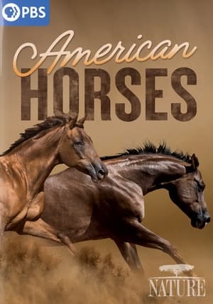 Image American Horses