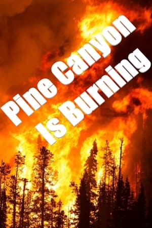 Image Pine Canyon Is Burning