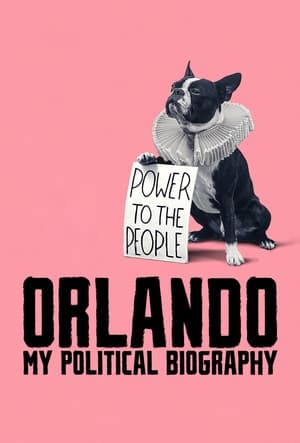 Image Orlando, My Political Biography