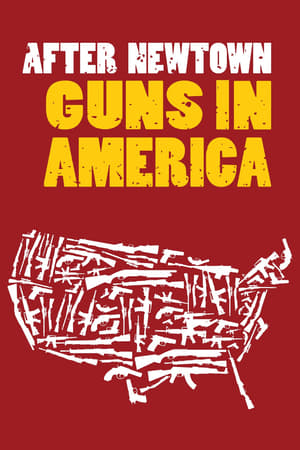 Image After Newtown: Guns in America