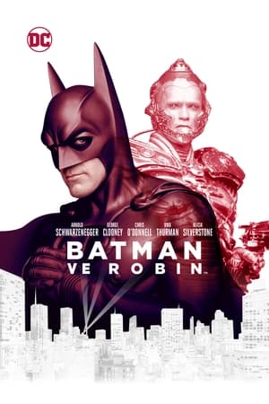 Image Batman ve Robin