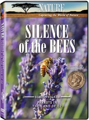 Image Silence of the Bees