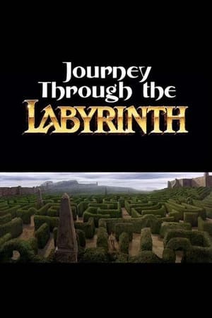 Image Journey Through the Labyrinth