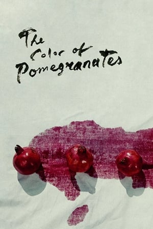 Image The Color of Pomegranates