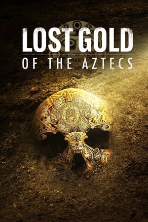 Image Lost Gold of the Aztecs
