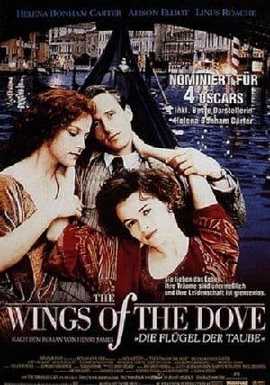 Image Wings of the Dove - Die Flügel der Taube