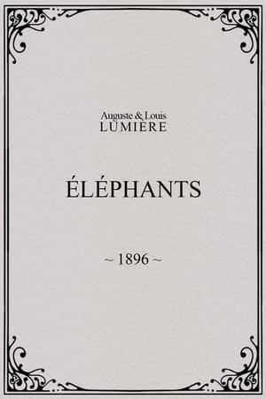 Image Elephants