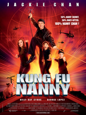 Image Kung Fu Nanny
