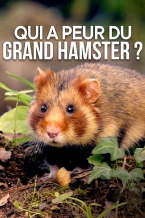 Image Qui a peur du grand hamster ?