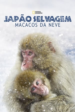 Image Wild Japan: Snow Monkeys