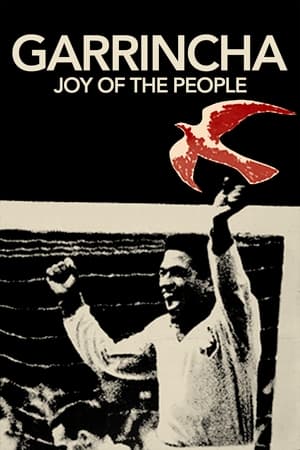 Image Garrincha: Joy of the People
