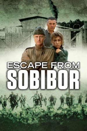 Image Escape from Sobibor