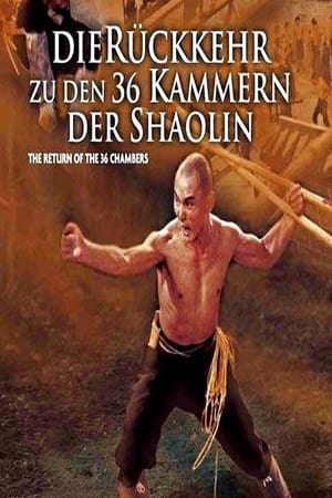 Image Die Rückkehr zu den 36 Kammern der Shaolin