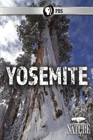 Image Nature: Yosemite